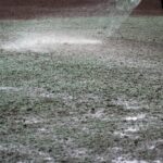 Professional,Hydroseeding,,Workman,Spraying,A,Mix,Of,Grass,Seed,And